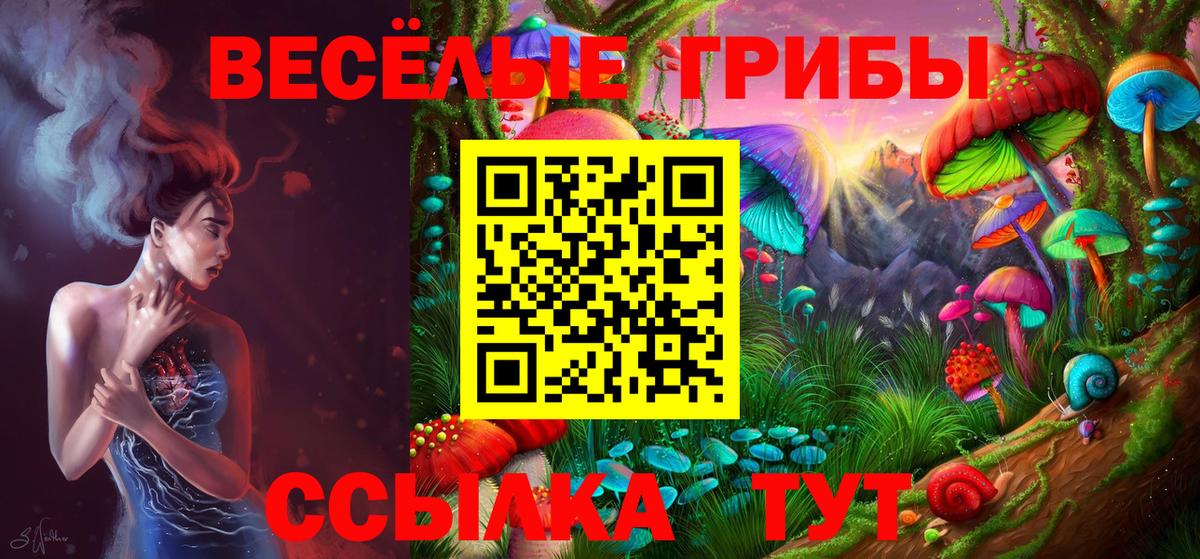 Галлюциногенные грибы Psilocybine cubensis  Галлюциногенные грибы Psilocybine cubensis  Вход с VPN  Моршанск 